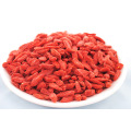 Bio Ningxia Red Goji Beeren - 100% Superrohstoff